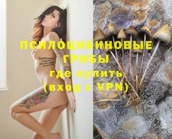 крисы Володарск