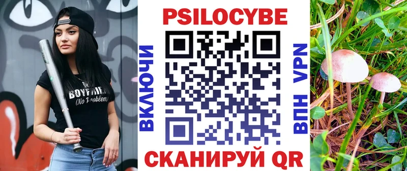как найти наркотики Шали Галлюциногенные грибы мицелий