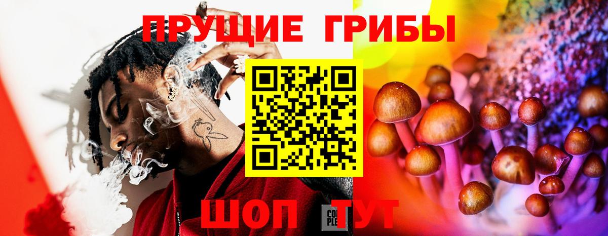 Галлюциногенные грибы Psilocybe  Вход с VPN  хочу наркоту  Шали 