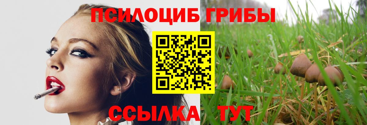 Псилоцибиновые грибы прущие грибы Шали